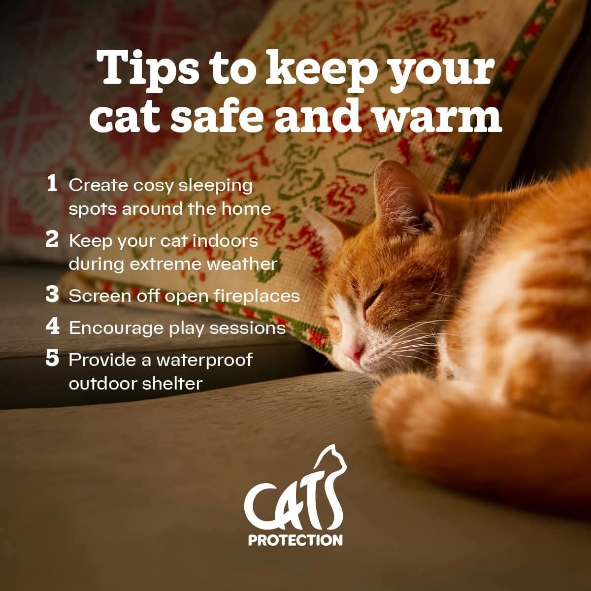 Here’s some tips to keep your cats cosy inside 🌨️❄️😺🏠

Some cats might prefer to head indoors during the winter and find a warm spot for a snooze. Warm, comfortable and draught-free places are ideal for your cat, while heat pads or beds that go over radiators are even better.