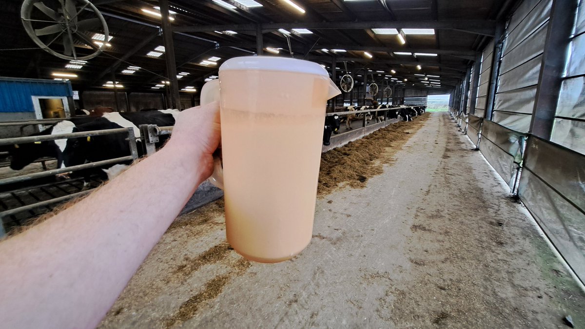 Michael Williams (@michaelfagwrfra) on Twitter photo Milking robots have reached 8 year startup anniversary today. Turn up every day and never given much trouble.
3 <a href="/DeLaval_UK_IRE/">DeLaval_UK_IE</a> VMS~Just over 1,180,000 milkings, finding 5,080,800 teats producing over 12 million litres of milk. Looking forward to the next 8yrs.
🌱🌿🌾🌽🐄🤖🧀 Milking robots have reached 8 year startup anniversary today. Turn up every day and never given much trouble.
3 <a href="/DeLaval_UK_IRE/">DeLaval_UK_IE</a> VMS~Just over 1,180,000 milkings, finding 5,080,800 teats producing over 12 million litres of milk. Looking forward to the next 8yrs.
🌱🌿🌾🌽🐄🤖🧀