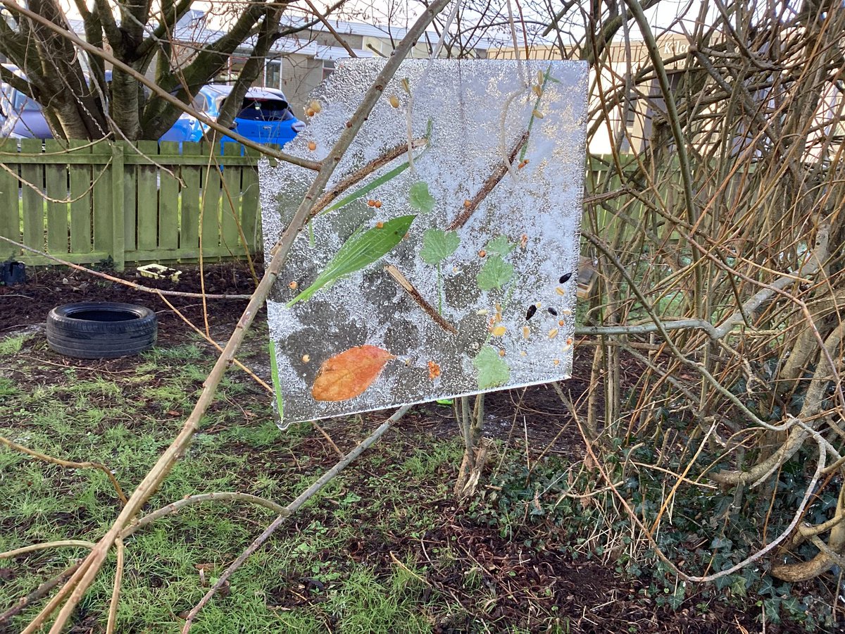 Michelle Bishop tweet media