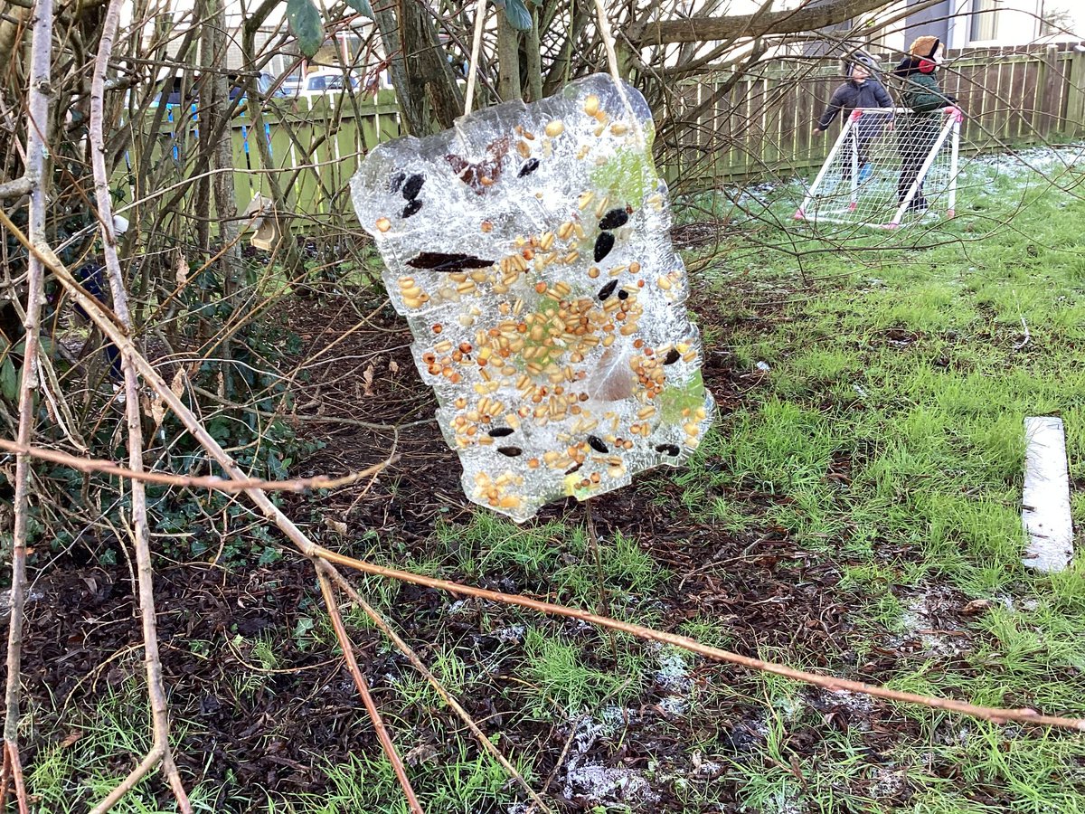 P6 are embracing the low temperatures this week with these incredible ice decorations <a href="/NIForestSchool/">Northern Ireland Forest School Association</a>