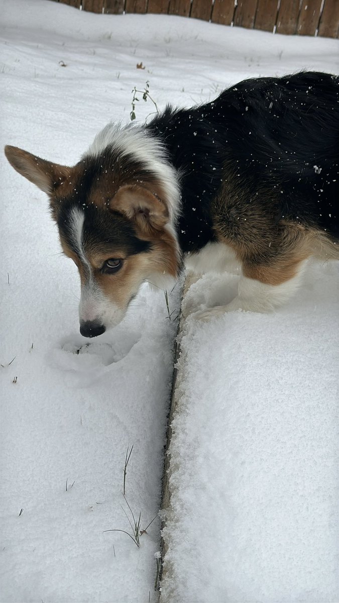 Hey <a href="/wfaaweather/">Pete Delkus</a> I don’t think everyone is a fan of the snow as much  as the kids are!