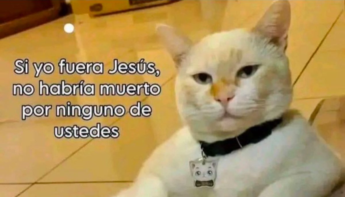 conoloracigarro's tweet photo. https://t.co/e4op853qgC