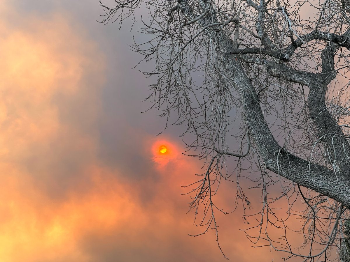 Thinking of everyone in Greater LA, especially our ALLEN MEDIA GROUP employees and their families, as wildfires continue to impact the area. Grateful for the brave firefighters and first responders working tirelessly. Stay safe and take care ❤️