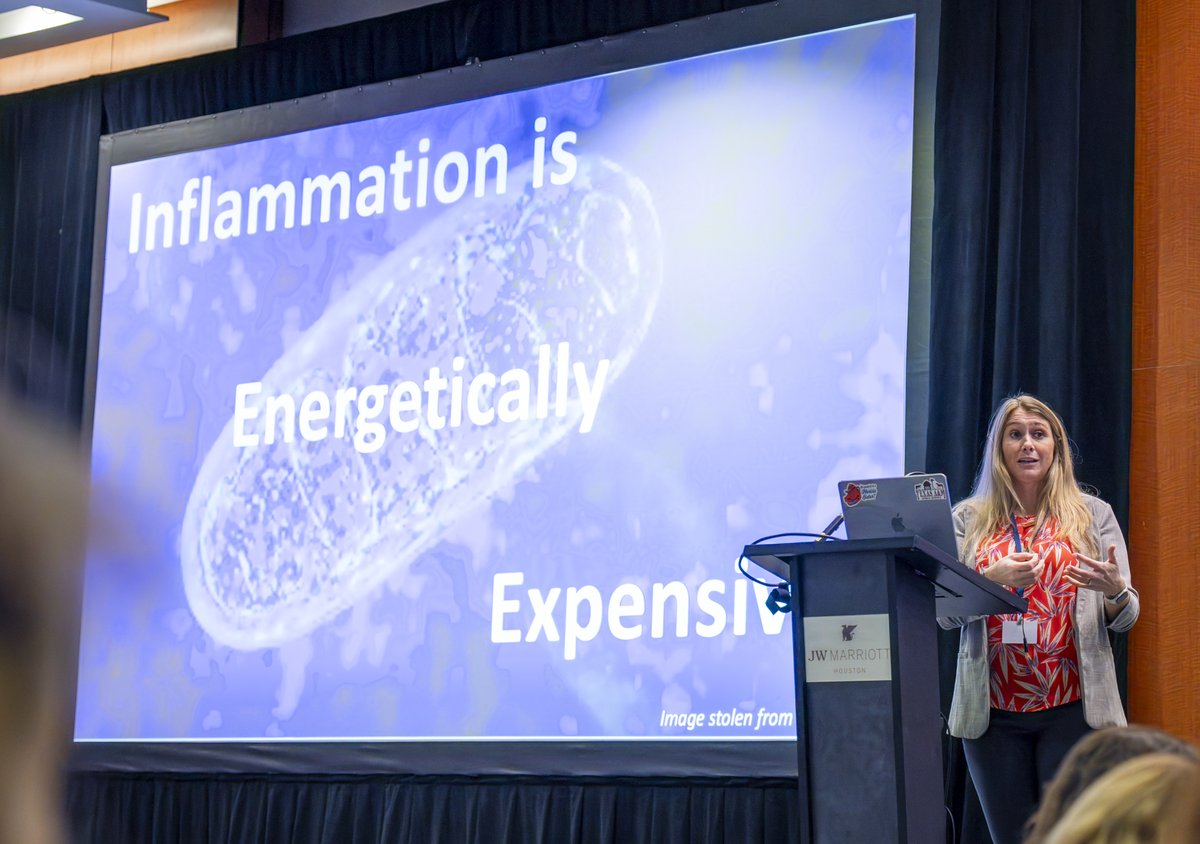 Photographs from the 2024 Adequan®/USDF Annual Convention, as well as the USDF Salute Gala &amp; Annual Awards Banquet, are now available through The Framed Equestrian! Use code USDF2024 at checkout to receive a 10% discount on purchases!
theframedequestrian.pixieset.com/usdf-2024/