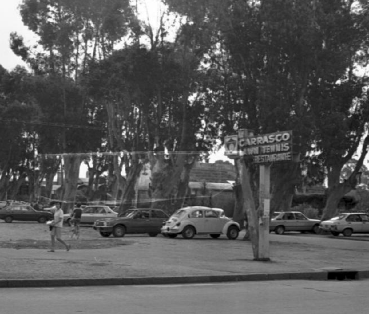 Stoian Cristoff tweet media