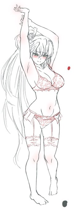 一式の下着を着けてもらい、一枚ずつ脱いでいってもらう。
この場合はナニするにしても、一枚は着けたままでいて欲しいね
残すので一番無難なのはガーター
なお途中であえてブラを着けてもらっても良い 