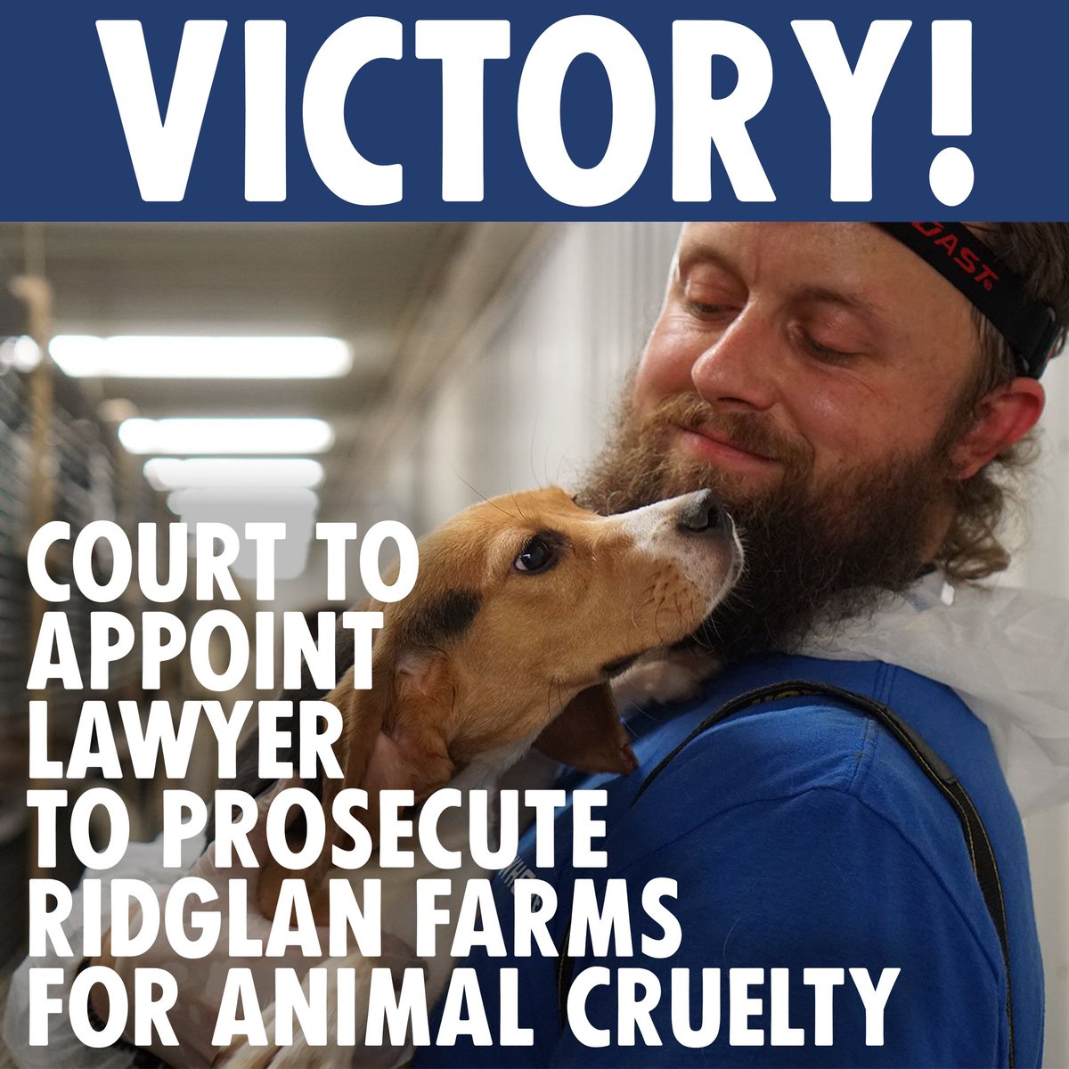 VICTORY! A judge with the Dane County Court has found “that there is probable cause to believe that Ridglan Farms has committed crimes under Wisconsin’s animal cruelty laws, and the district attorney has failed to issue a complaint or commence an investigation into Ridglan’s