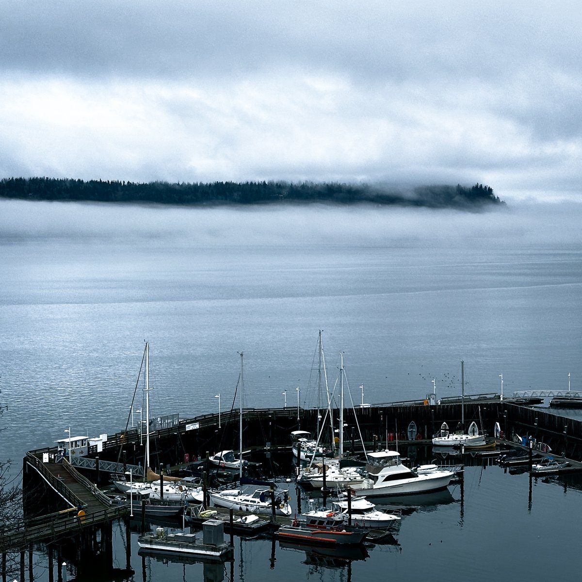 A misty walk in Langley, considering which stories I want to tell this year.

#LangleyWA #WhidbeyIsland #WeirdbeyIsland