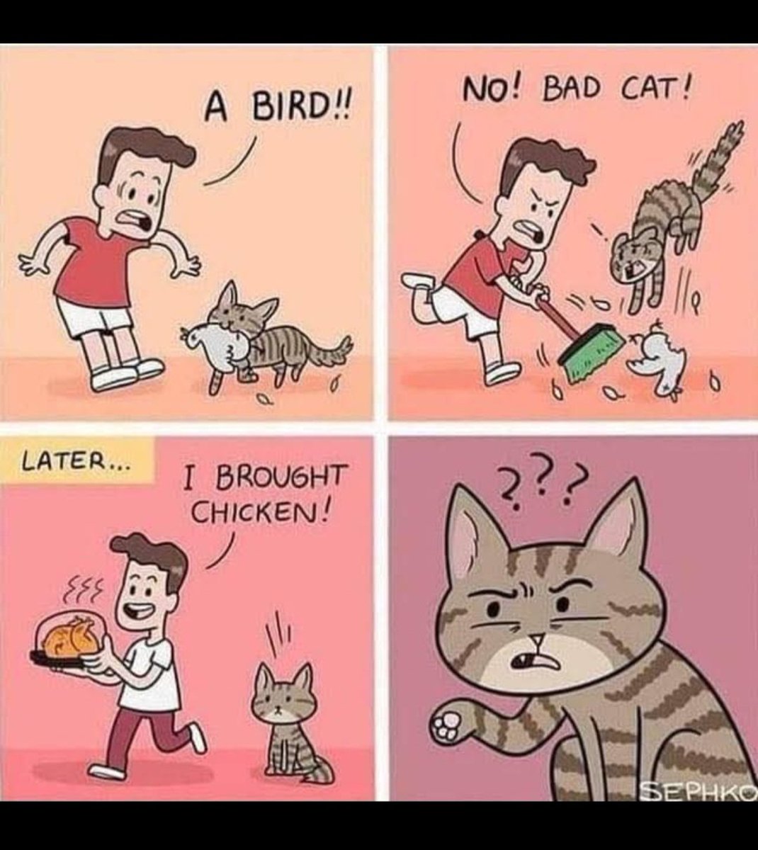 .. so true .. 
🐈‍⬛🫶
