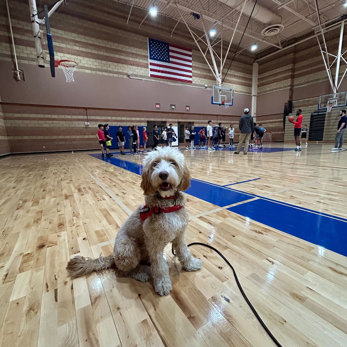 DawsonSchool's tweet photo. Our comfort dog, Hope, stopped by to check in on our basketball athletes as they kick off their season. Wishing them great success in their games! #DawsonDifference #BearsAthleticsLV #PawPalHOPE https://t.co/xuiOnnHKKq