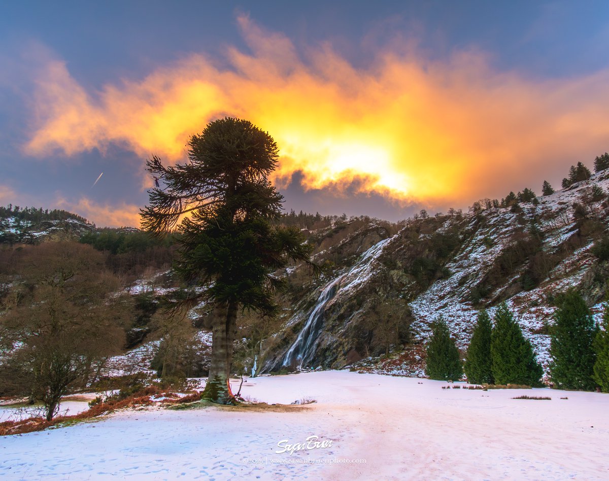 Sunset over a snowy Powerscourt Waterfall ❄️
