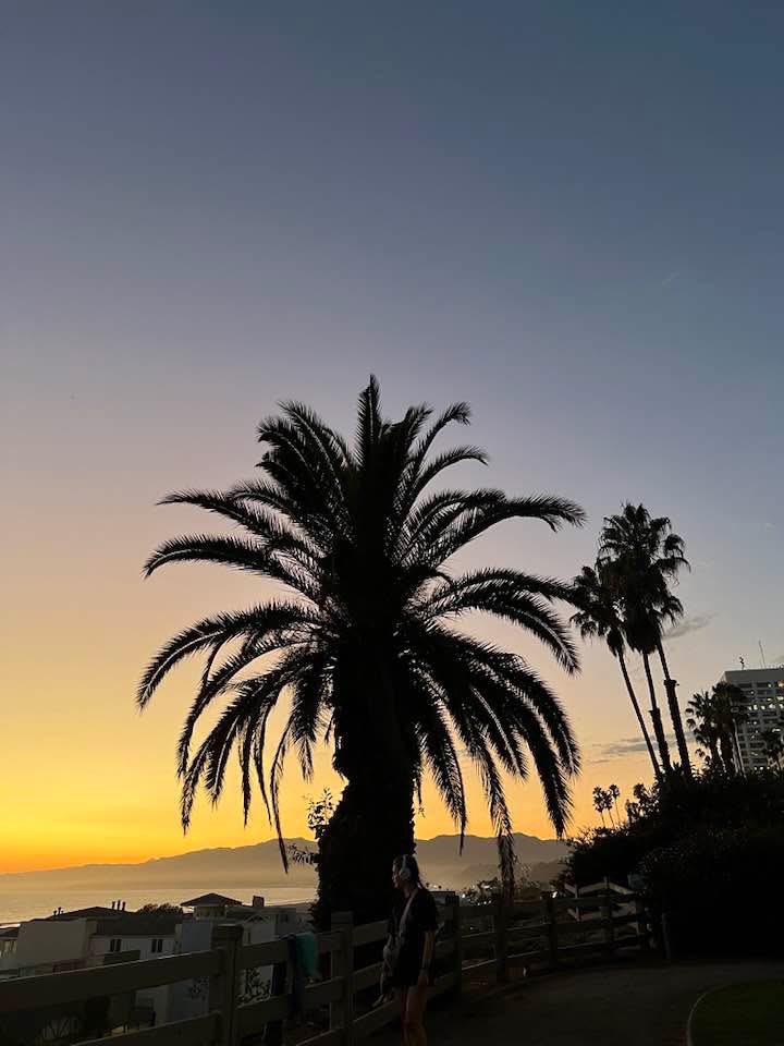 Wandered around Hollywood, Malibu, Santa Monica and Palisades in September……horrific watching it all burn to the ground…my heart goes out to those communities 💔