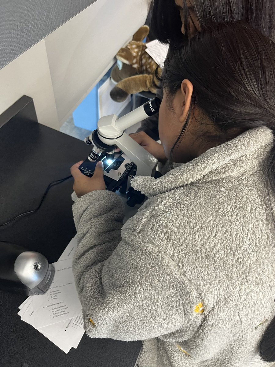 Forensics crime investigation for marking period 2 is underway! Who killed Mayor Burlington? Was Nicole really taking sailing lessons with Vic? Was Matthew at Pam’s cabin in the woods? Was Timothy upset when he lost the election? Only the evidence will lead us to answers!