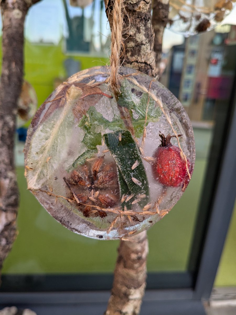 Stef Saunders tweet media