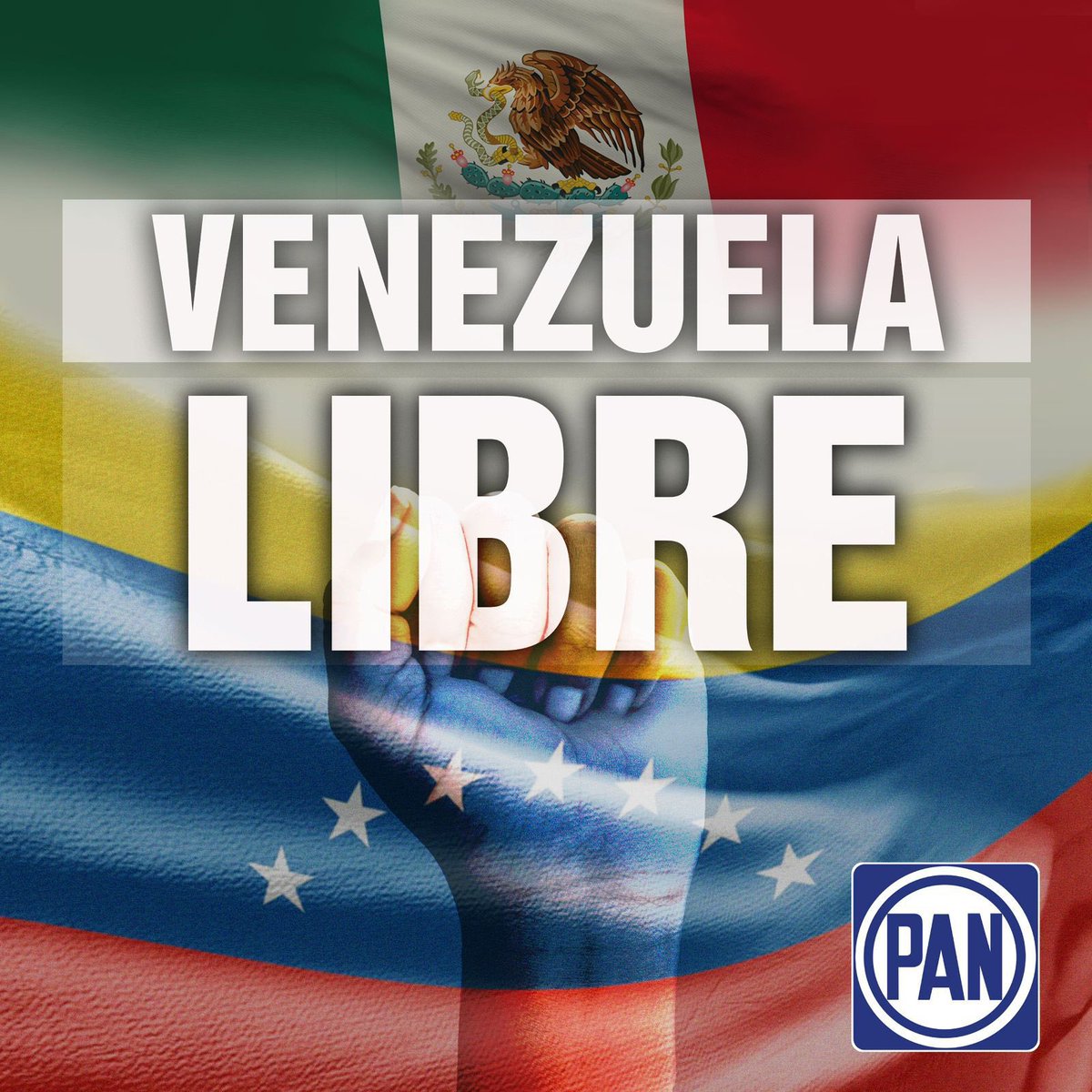 Reiteramos nuestra absoluta solidaridad con @MariaCorinaYa, <a href="/EdmundoGU/">Edmundo González</a> y con el pueblo venezolano que exige libertad. 

Nuestro compromiso con la libertad, la democracia y la defensa de los derechos humanos es permanente.

#VenezuelaLibre 🇻🇪