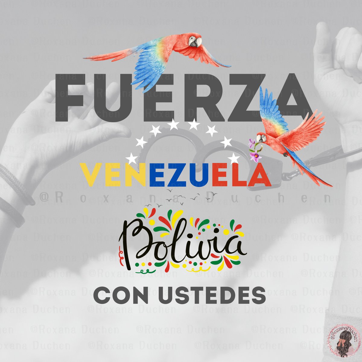 Los bolivianos🇧🇴 de bien queremos la libertad de Venezuela 🇻🇪. 
Con todo el corazón deseo que los venezolanos sean libres del socialismo miserable, del tirano Maduro, Diosdado y de aquellos que fueron sus aliados, vendedores de promesas vacías. 
#VenezuelaLibre