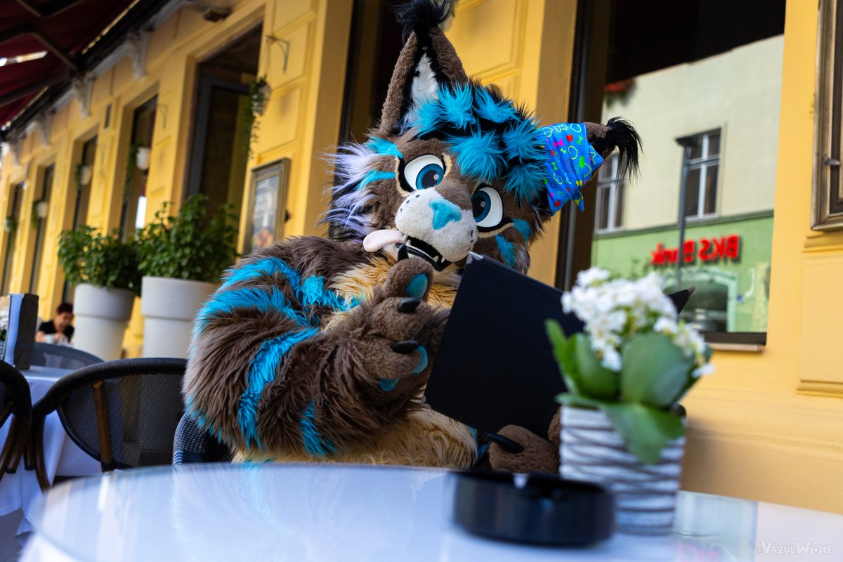 LaakoLynx🇦🇹🔜 Örli🇭🇺 / CanFur🇨🇦 (@laakolynx) on Twitter photo Its #FursuitFriday, so what are your order? I order a cutie and you are right here perfect🫣😼
🪡 <a href="/whitewingsuits/">Whitewing Creations</a>
📸 <a href="/VazulWolf/">Vazul 🔜 Cesfur</a> Its #FursuitFriday, so what are your order? I order a cutie and you are right here perfect🫣😼
🪡 <a href="/whitewingsuits/">Whitewing Creations</a>
📸 <a href="/VazulWolf/">Vazul 🔜 Cesfur</a>