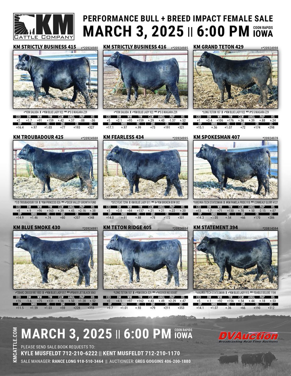 KyleMusfeldt's tweet image. Give me a call to check out these Better Business Bulls that sell Monday March 3rd!