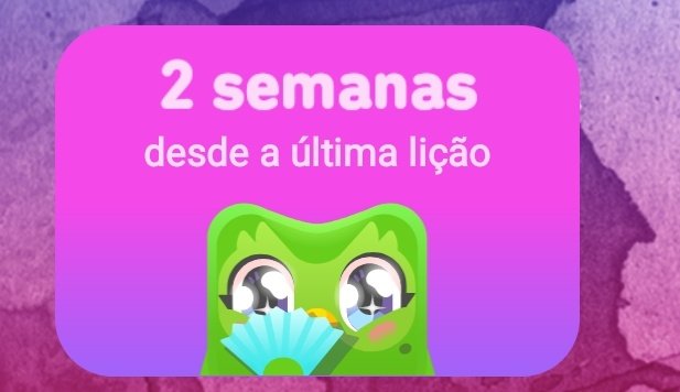 Caraí véi esse passarinho é stalker