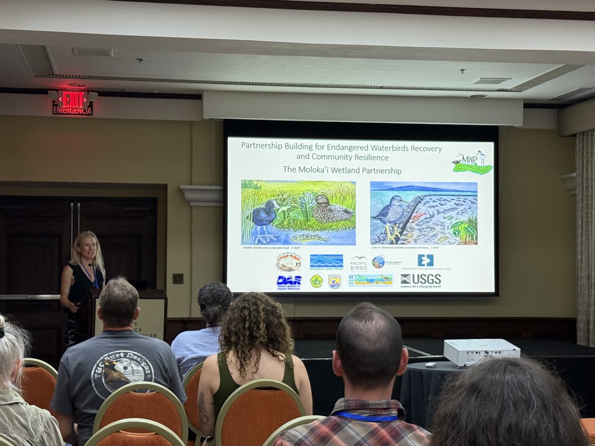Pacific Birds (@pacificbirds) on Twitter photo Live from the <a href="/PacificSeabirds/">PacificSeabirdGroup</a> and <a href="/WaterbirdSociet/">Waterbird Society</a> 2025 Joint Meeting! Our staff member Helen Raine presented on the partnership building, endangered waterbird recovery, and community resilience work of the Molokaʻi Wetland Partnership.
Learn more about the partnership: Live from the <a href="/PacificSeabirds/">PacificSeabirdGroup</a> and <a href="/WaterbirdSociet/">Waterbird Society</a> 2025 Joint Meeting! Our staff member Helen Raine presented on the partnership building, endangered waterbird recovery, and community resilience work of the Molokaʻi Wetland Partnership.
Learn more about the partnership: