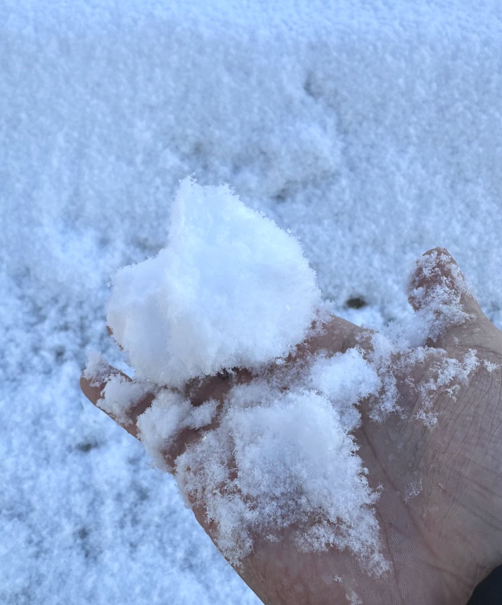 びっくりする冷たさ、雪だ！！
おはようございます❄️