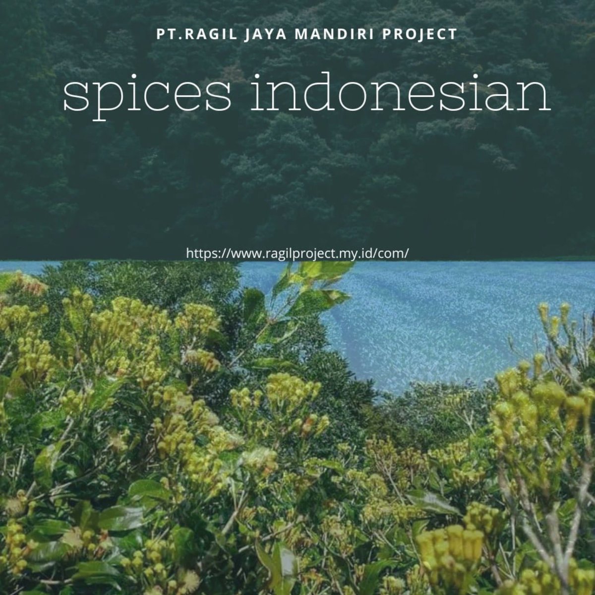 exporter originally product indonesian  spices,coffee,vegetables email contact@ragilproject.my.id