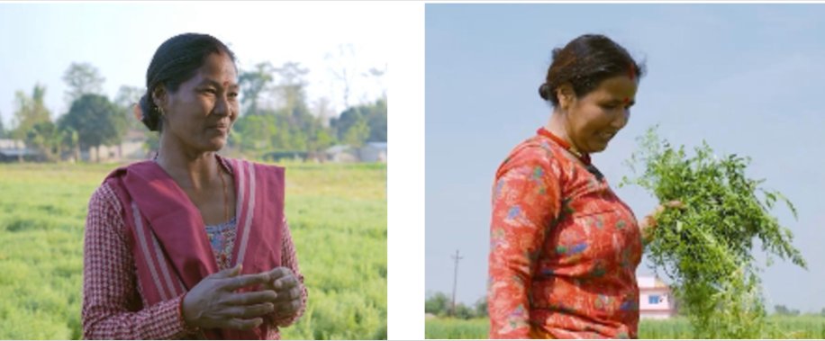 Feed the Future (@feedthefuture) on Twitter photo With support from #FeedtheFuture’s <a href="/LegumeLab/">Legume Systems Research Innovation Lab</a> and the agricultural company Muktinath Krishi, women farmers in Nepal are learning new lentil growing techniques, accessing quality seeds, and improving income, food security, and agricultural productivity. canr.msu.edu/news/women-far… With support from #FeedtheFuture’s <a href="/LegumeLab/">Legume Systems Research Innovation Lab</a> and the agricultural company Muktinath Krishi, women farmers in Nepal are learning new lentil growing techniques, accessing quality seeds, and improving income, food security, and agricultural productivity. canr.msu.edu/news/women-far…