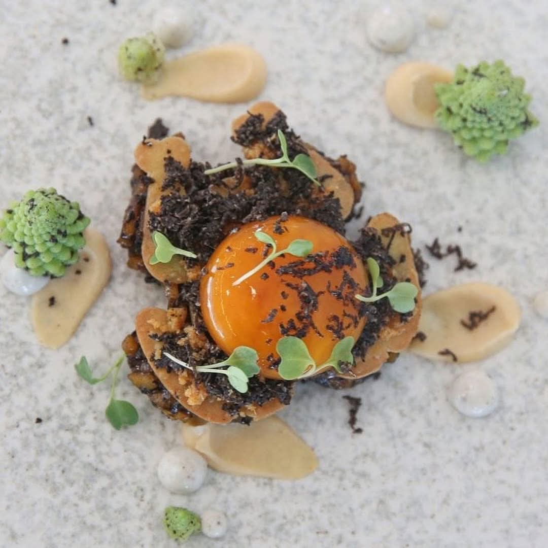 @veleseventsvalencia La trufa negra, una verdadera joya de la gastronomía que volveremos a poner en el centro, el próximo lunes 13 de enero, en el Concurso Gastronómico Valenciano de la Trufa de Andilla que se celebrará un año más en Veles e Vents
 #Trufa #Andilla #trufanegra