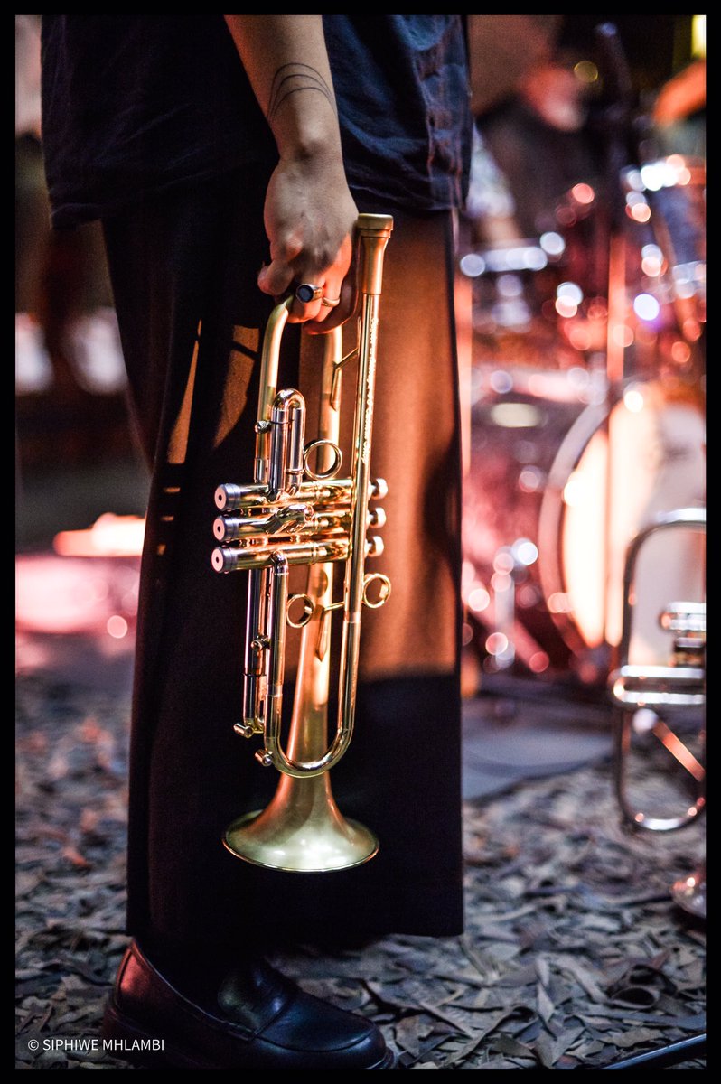 Robin Fassie 🎺 🎼