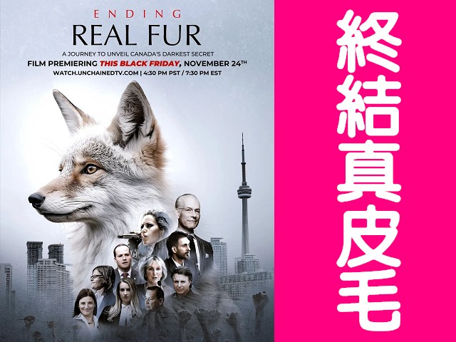 hkcatrefuge's tweet photo. https://t.co/aU4MiPnhCi