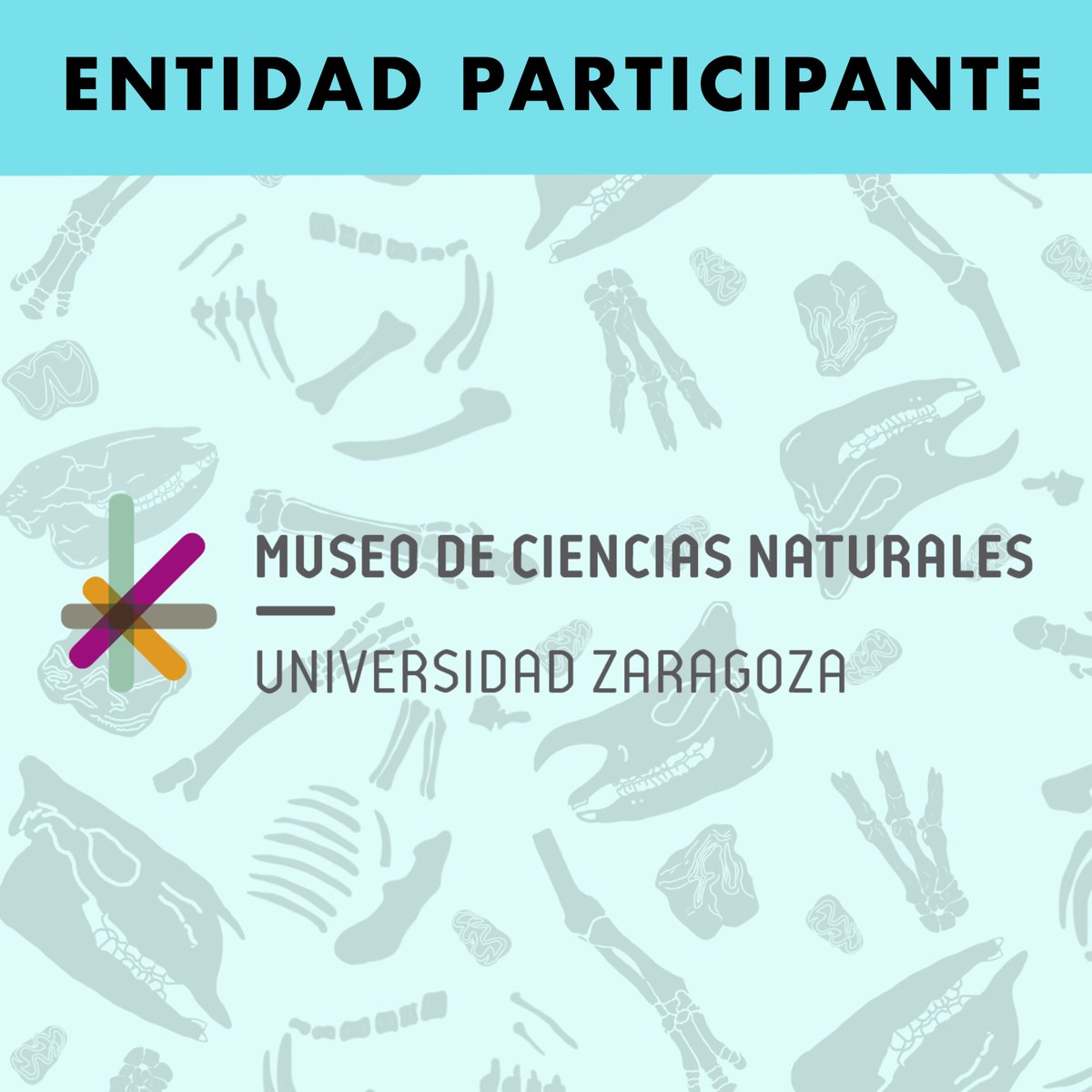 Hoy es el turno del Museo de Ciencias Naturales de la Universidad de Zaragoza.

En el año 2015, este museo abre sus puertas al público, exponiendo en sus colecciones piezas de carácter naturalista, paleontológico, y más recientemente, mineralógico.

¡Gracias por su colaboración!