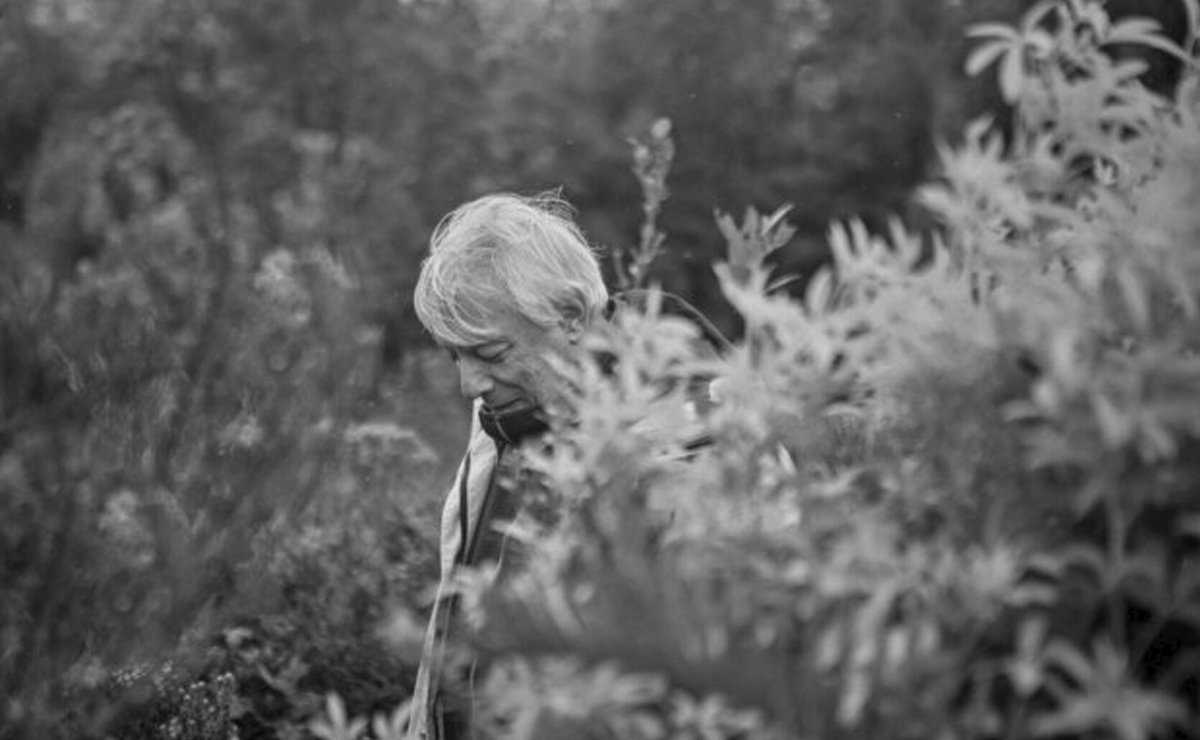 Bulletin ESA (@esabulletin) on Twitter photo New in the <a href="/ESABulletin/">Bulletin ESA</a>: A Resolution of Respect for Juan José Armesto, a major figure among Chilean scientists and the global ecology community, who left us in January 2024
doi.org/10.1002/bes2.2… New in the <a href="/ESABulletin/">Bulletin ESA</a>: A Resolution of Respect for Juan José Armesto, a major figure among Chilean scientists and the global ecology community, who left us in January 2024
doi.org/10.1002/bes2.2…
