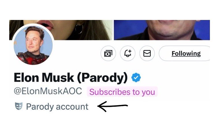 DogeDesigner tweet media
