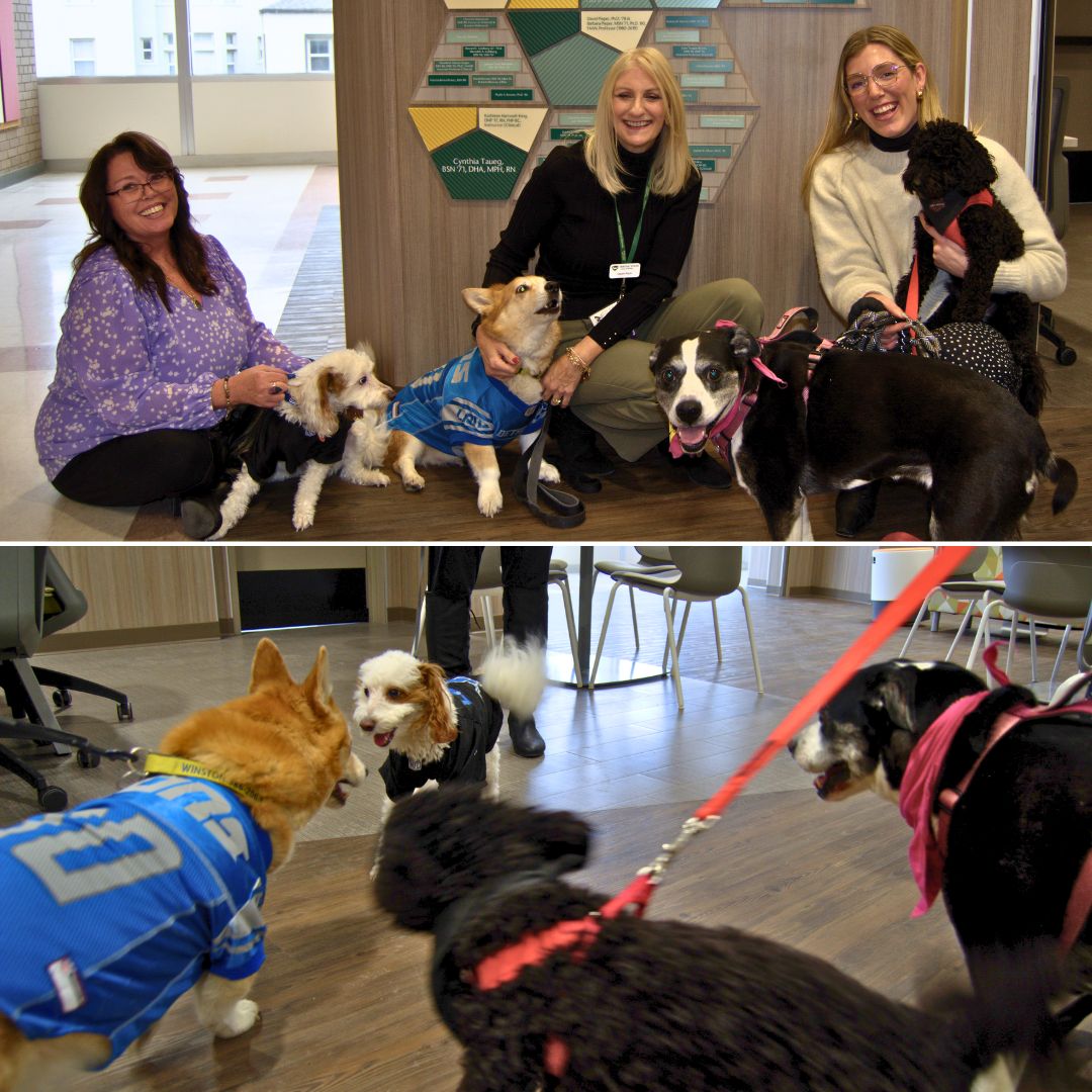 It was im-paw-sible not to smile during the College of Nursing’s Bring Your Dog to Work Day! The College's staff enjoyed wagging tails, puppy cuddles and stress-free fun.