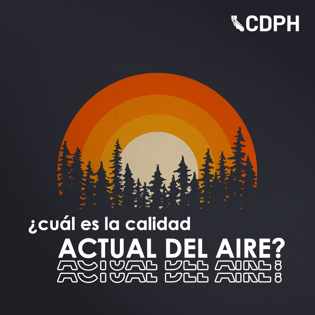 El humo de los incendios forestales puede causar problemas oculares y respiratorios e incluso reacciones más graves. Usa una mascarilla N95 (o KN95 o KF94) para filtrar los contaminantes y ayudar con la respiración en áreas con mala calidad de aire. 
airnow.gov
