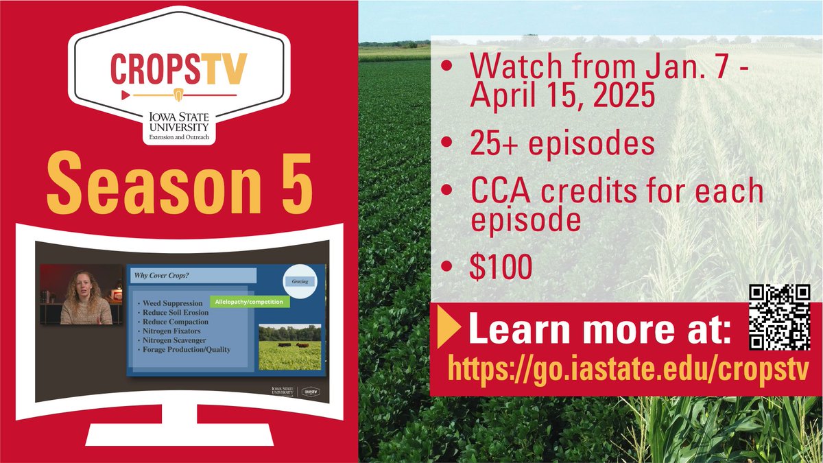 Season 5 of #CropsTV brings a wide range of topics from the value and variability of manure to spraying and seeding with drones in our 29 on-demand episodes! go.iastate.edu/cropstv #ISUCrops
