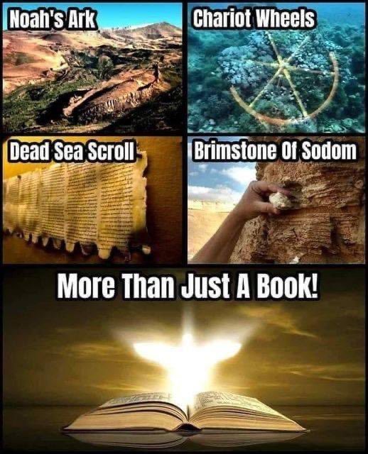 navigatinglies's tweet photo. “The fool hath said in his heart, There is no God” https://t.co/UB6sYlDa87