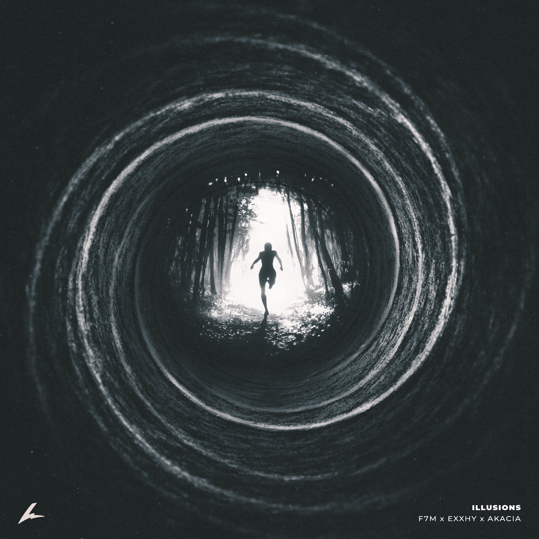 Cover art of Illusions