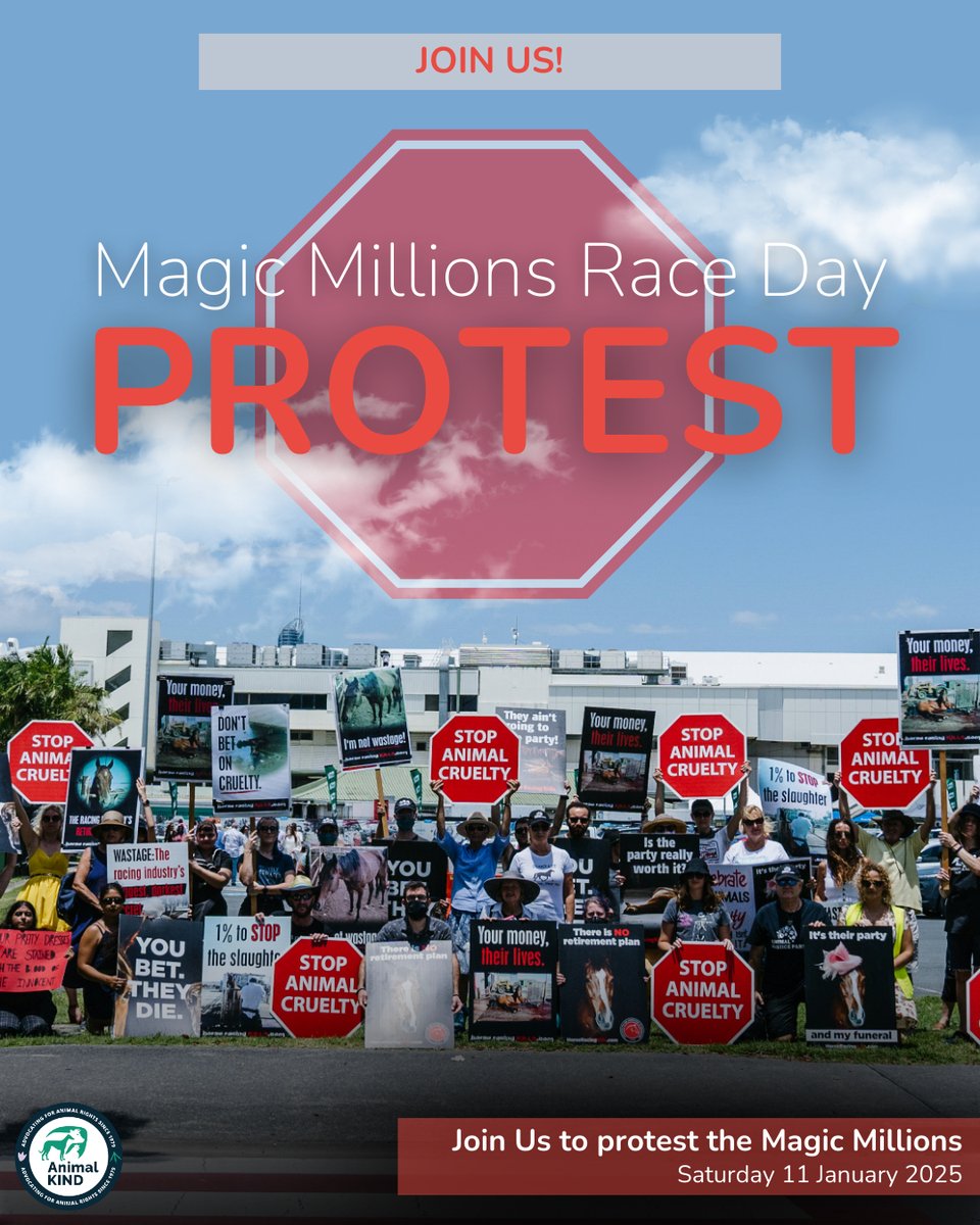Horses used for racing are suffering! The time to act is NOW! Join us on Saturday 11th January from 10.30am
at Aquis Gold Coast Turf Club, Bundall Racecourse main entrance (Corner Racecourse Road and Ascot Road)