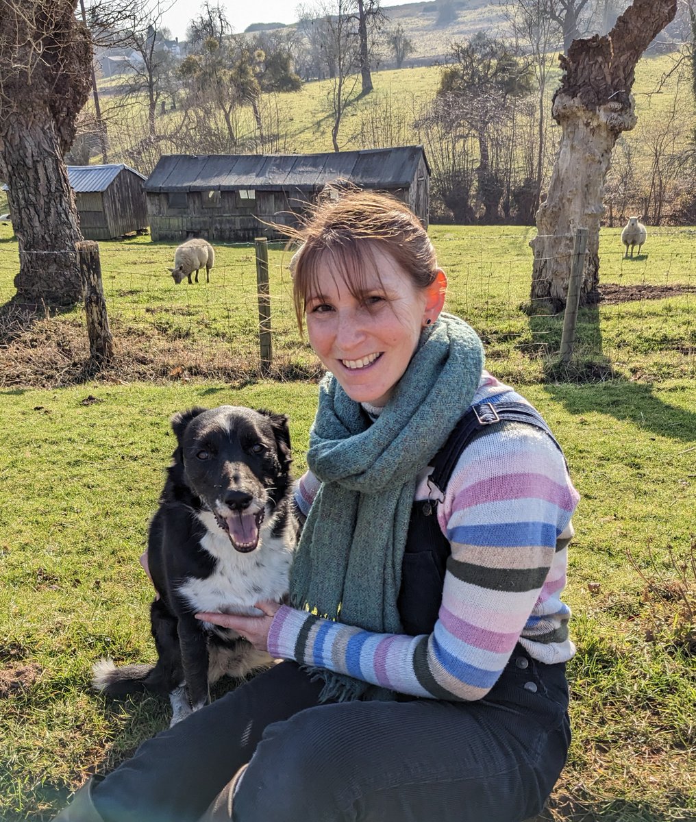 Alyson Read tweet media