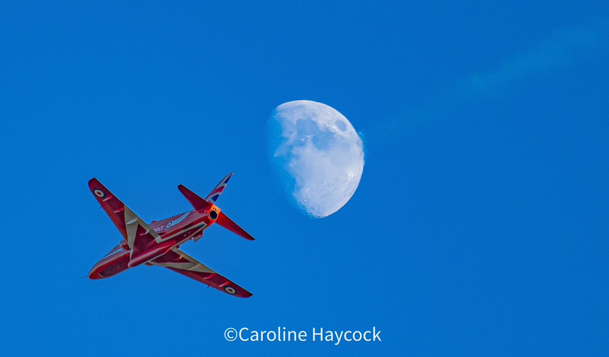 Caroline Haycock tweet media