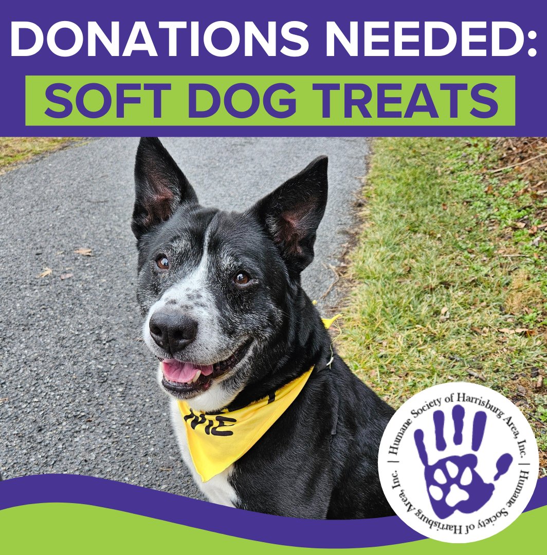 Humane Society HBG tweet media