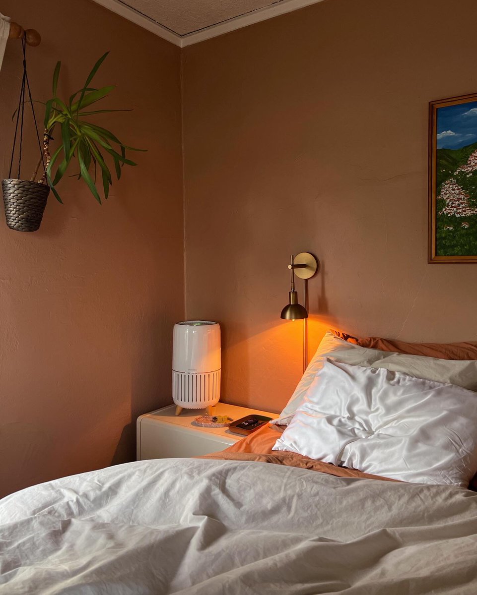 Clean air = better sleep 💤 The T200 Smart Air Purifier is your bedroom’s new best friend. 🛏️
📸:  Highboy LA

👉 homedics.com/large-room-sma…

#CleanAir #AirQuality #SmartLiving