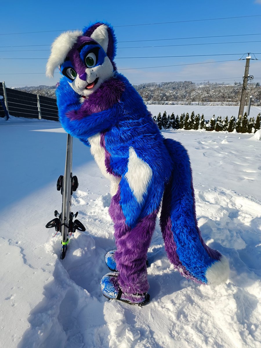 Hopp auf die Ski!

#furry #fursuit #furries #furrcat