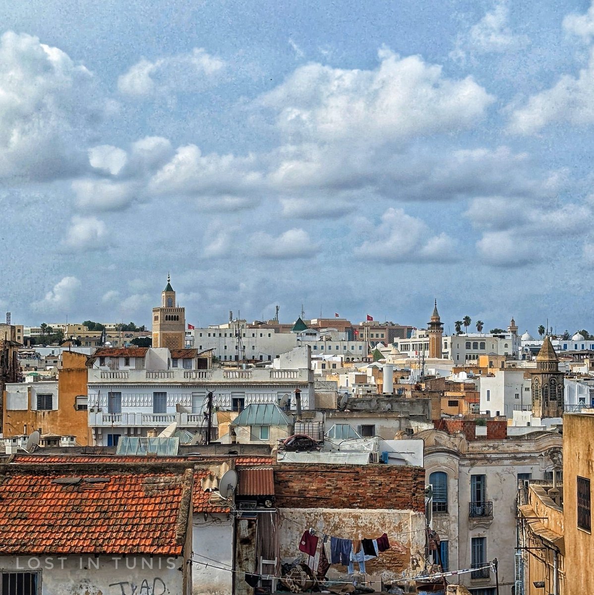 #Tunisia's magical blend of architectural ages and lines is best illustrated by this capture hunted and grabbed by <a href="/Fhtagn/">Fhtagn!</a>, looking at the once western gates of beautifully decaying #Tunis