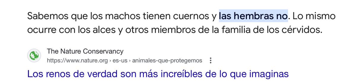 Naza_bumblebee's tweet photo. @BiologiaDesde0 hola, soy fan de tu contenido y me encantan tus videos y mientras hablaba con unos amigos salió la pregunta si los renos hembras tiene cuernos, a un amigo le salió que si en la IA de google y a mí en mi búsqueda salió que no, queríamos preguntarte cuál tenía razón https://t.co/rZ0kVBtngo