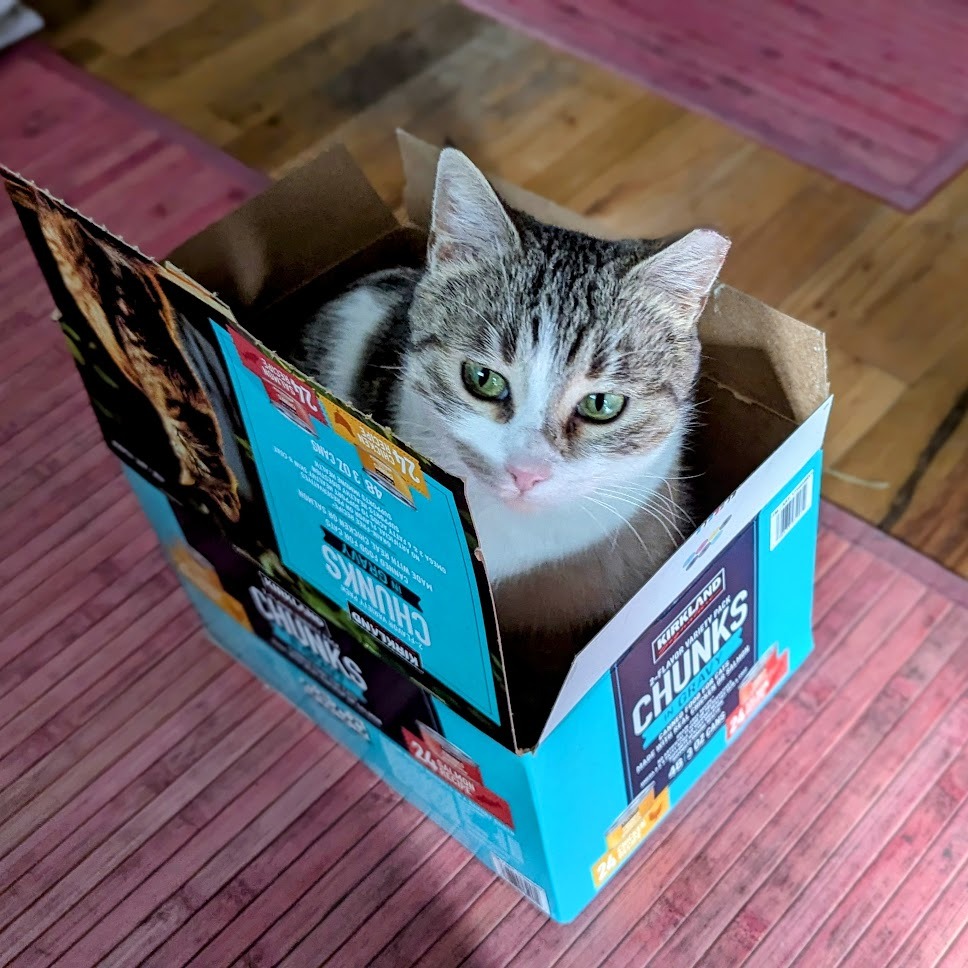 Amanda C. Kooser tweet media