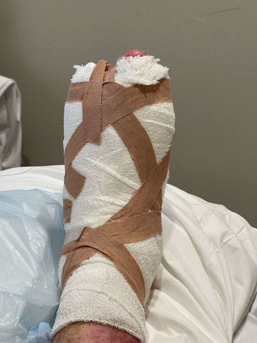 Dr Anastasia Mihailidou FAHA FCSANZ FESC tweet media