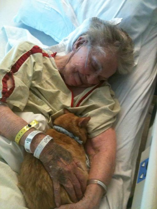 VirtudMental's tweet photo. 13. El último deseo de una anciana fue despedirse de su gato. https://t.co/29zmCdeTVn