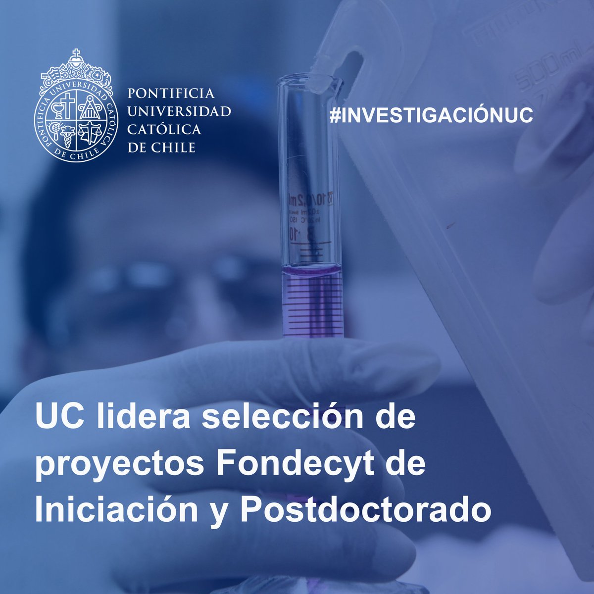 InvestigacionUC's tweet photo. 🥇 La @ucatolica encabeza selección de proyectos en apoyo a investigadores en etapas iniciales de sus carreras.
👉 A nivel nacional, se seleccionaron 256 proyectos en #Postdoctorado, y de estos, 43 son UC. En #Iniciación, el total nacional fue de 419, y 39 UC. https://t.co/gyBABWYpav